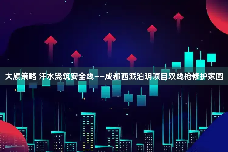 大旗策略 汗水浇筑安全线——成都西派泊玥项目双线抢修护家园
