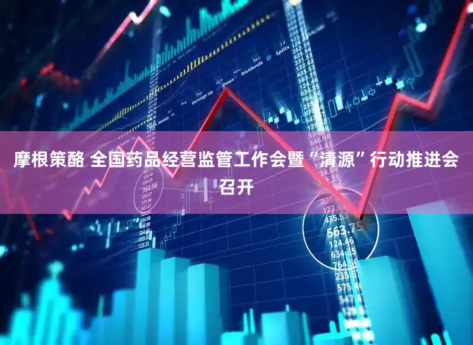 摩根策酪 全国药品经营监管工作会暨“清源”行动推进会召开