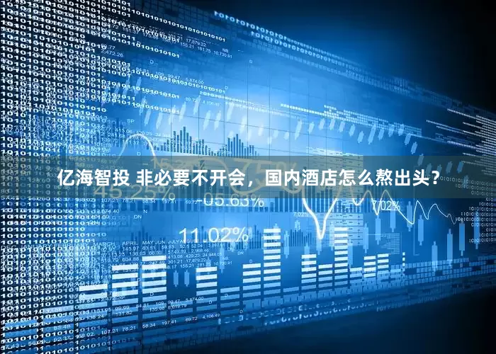 亿海智投 非必要不开会，国内酒店怎么熬出头？