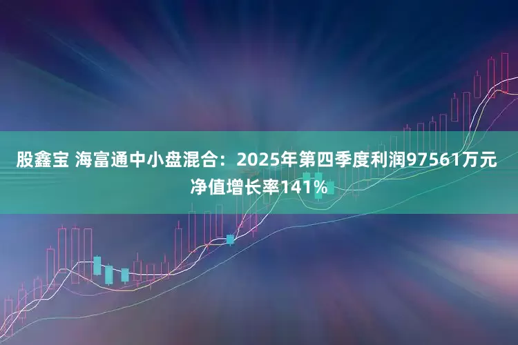 股鑫宝 海富通中小盘混合：2025年第四季度利润97561万元 净值增长率141%