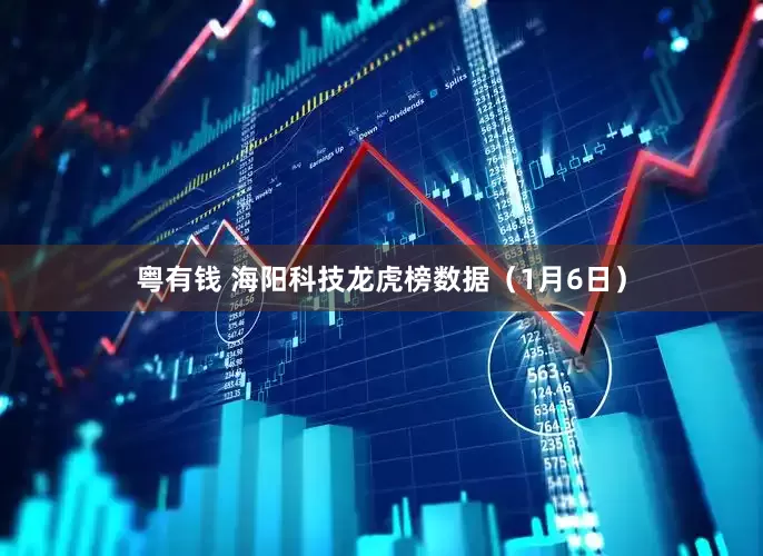 粤有钱 海阳科技龙虎榜数据（1月6日）