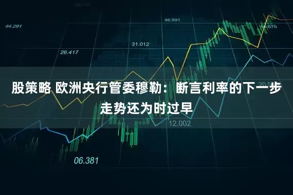 股策略 欧洲央行管委穆勒：断言利率的下一步走势还为时过早